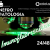 Núcleo de Nefropatologia Citolab